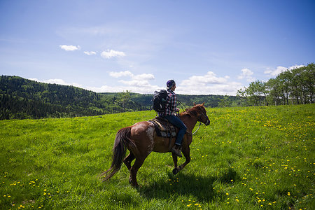 simsearch:6113-08655500,k - Horse rider on green landscape, Calgary, Canada Photographie de stock - Premium Libres de Droits, Code: 614-09276437