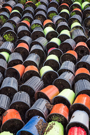 simsearch:693-06020376,k - Rows of discarded tipped over blue, red, black and lime green plastic containers on the ground with withered plants, Quebec, Canada Foto de stock - Sin royalties Premium, Código: 614-09276812