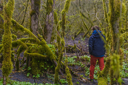 simsearch:6118-08088612,k - Man exploring humid moss-covered forest, Howe Sound, Canada Stock Photo - Premium Royalty-Free, Code: 614-09276892