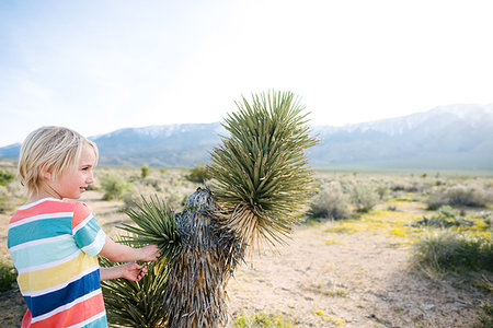 Boy beside Joshua tree, Olancha, California, US Stock Photo - Premium Royalty-Free, Code: 614-09270512