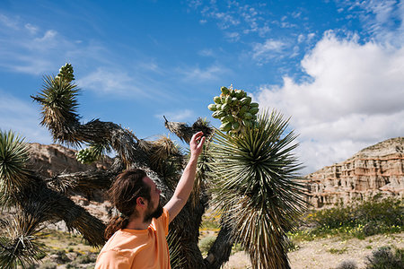 simsearch:614-07911764,k - Man exploring nature reserve, Red Rock Canyon, Cantil, California, United States Photographie de stock - Premium Libres de Droits, Code: 614-09270527