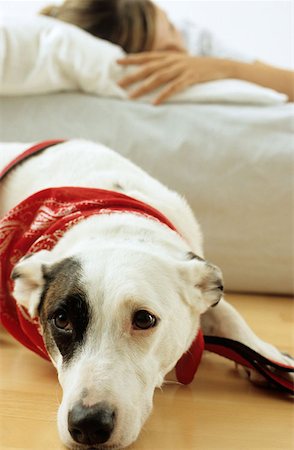 simsearch:614-00599224,k - Dog and lady owner resting Stock Photo - Premium Royalty-Free, Code: 614-00599224