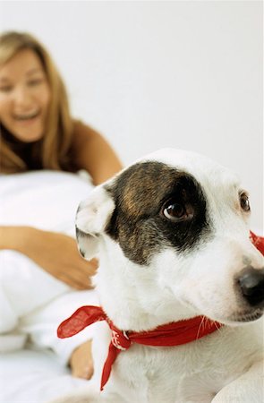 simsearch:614-00599224,k - Dog with smiling lady owner Stock Photo - Premium Royalty-Free, Code: 614-00599228