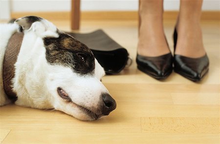 simsearch:614-00599224,k - Dog lies at feet of lady owner Stock Photo - Premium Royalty-Free, Code: 614-00599244