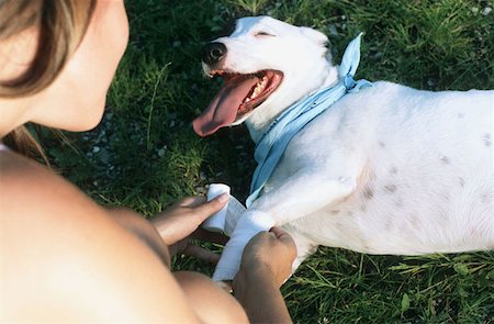 simsearch:614-00599224,k - Lady owner bandages dog leg Stock Photo - Premium Royalty-Free, Code: 614-00599265