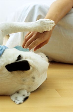 simsearch:614-00599224,k - Dog resting paw on lady owner Stock Photo - Premium Royalty-Free, Code: 614-00599295