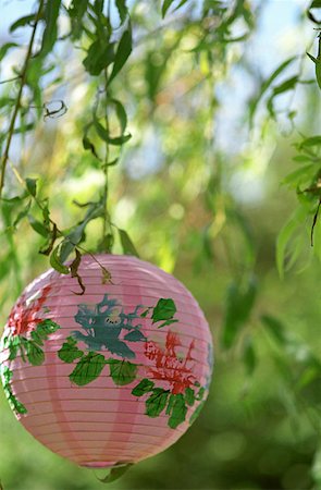 Paper lampshade among leaves Stock Photo - Premium Royalty-Free, Code: 614-00599384