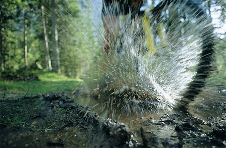 A person cycling through a puddle Stock Photo - Premium Royalty-Free, Code: 614-00599523