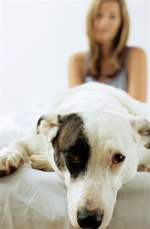 simsearch:614-00599224,k - Dog lying in front of owner Stock Photo - Premium Royalty-Free, Code: 614-00602473