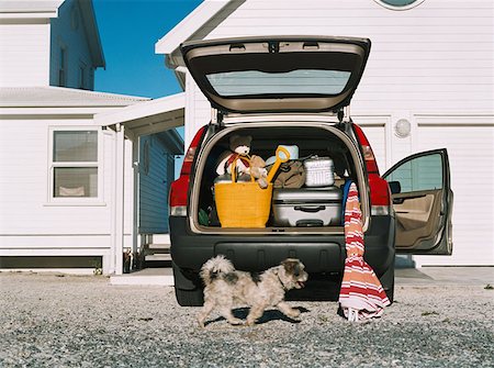 Dog by car full of luggage Stock Photo - Premium Royalty-Free, Code: 614-00655017