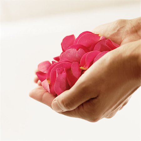 simsearch:614-00913197,k - Woman holding rose petals Foto de stock - Sin royalties Premium, Código: 614-00913242