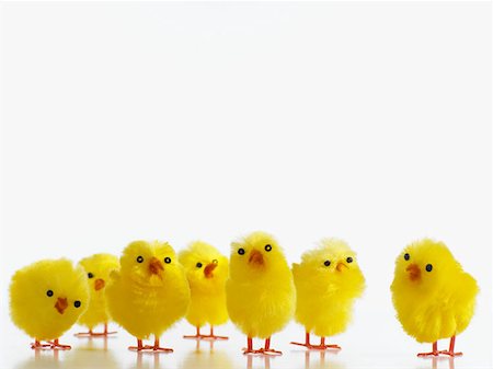 easter humour - Easter chicks Stock Photo - Premium Royalty-Free, Code: 614-00913639