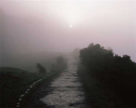 simsearch:400-07510433,k - Winter fog along a path edinburgh Stock Photo - Premium Royalty-Free, Code: 614-00966357