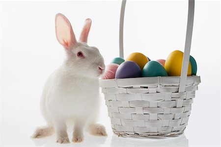 easter basket not people - Rabbit and basket of eggs Stock Photo - Premium Royalty-Free, Code: 614-01070250