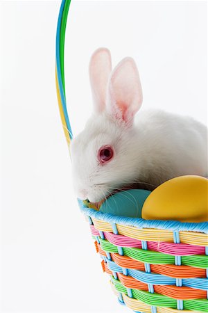 easter basket not people - Rabbit on top of a basket of eggs Foto de stock - Sin royalties Premium, Código: 614-01070328