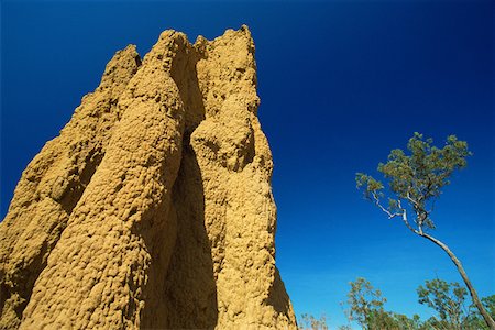 parque nacional de kakadu - Large termite mound Foto de stock - Sin royalties Premium, Código: 614-01170697