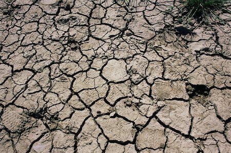 Dried and cracked mud Foto de stock - Sin royalties Premium, Código: 614-01219280