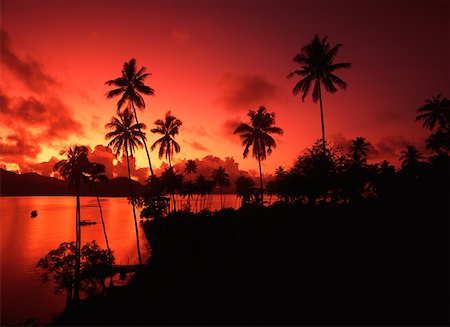 dawn red sky - Matagi island fiji Stock Photo - Premium Royalty-Free, Code: 614-01219374