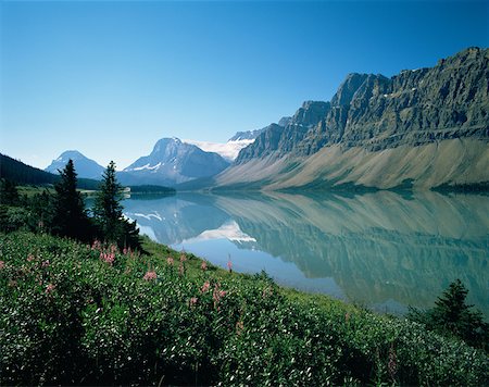 Bow lake at banff national park Stock Photo - Premium Royalty-Free, Code: 614-01219409