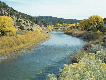 rio grande - Rio grande new mexico Stock Photo - Premium Royalty-Free, Code: 614-01487637