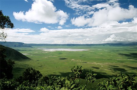serengeti national park - Landscape of ngorongoro crater Foto de stock - Sin royalties Premium, Código: 614-01561195