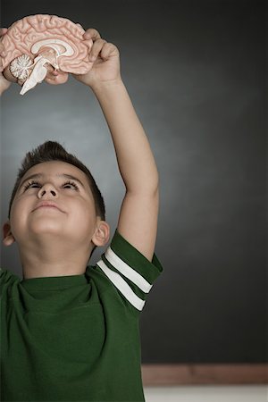 smart models male - Boy holding a model brain Stock Photo - Premium Royalty-Free, Code: 614-01636028