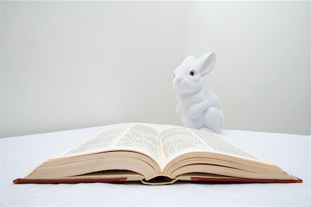 A toy rabbit and a book Stock Photo - Premium Royalty-Free, Code: 614-01701685
