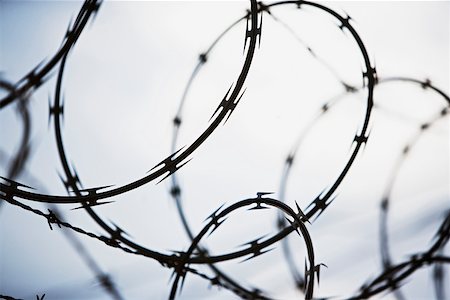 Razor wire Stock Photo - Premium Royalty-Free, Code: 614-01703042