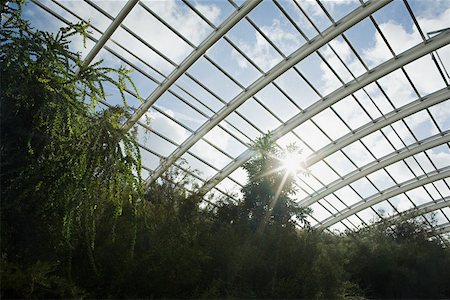 Sunlight through large greenhouse Stock Photo - Premium Royalty-Free, Code: 614-01758501