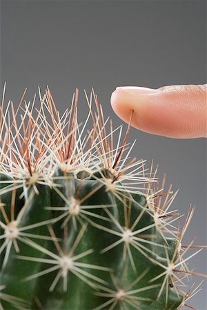 Une femme en appuyant sur son doigt sur un cactus Photographie de stock - Premium Libres de Droits, Code: 614-01758784