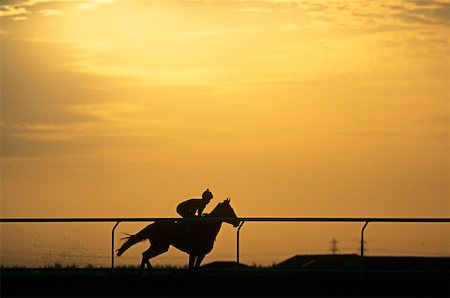 A silhouette of a jockey riding a horse Foto de stock - Royalty Free Premium, Número: 614-01819223