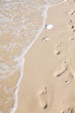 Footprints on a sandy beach Foto de stock - Sin royalties Premium, Código: 614-02004174