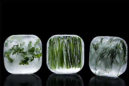 simsearch:6118-07353323,k - Herbes congelées Photographie de stock - Premium Libres de Droits, Code: 614-02049068