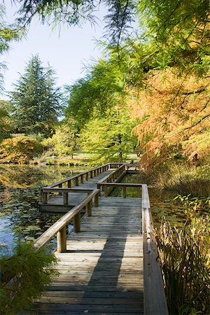 Van dusen botanical gardens vancouver Photographie de stock - Premium Libres de Droits, Code: 614-02074773