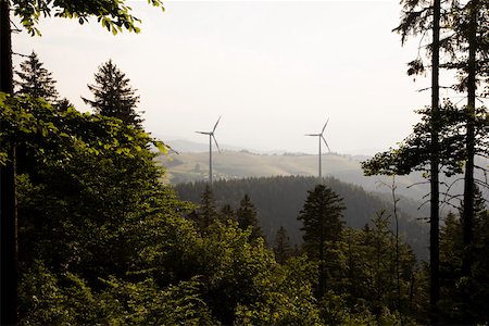 Forest and wind turbines Foto de stock - Sin royalties Premium, Código: 614-02073107