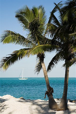 paradise holiday scene - Palm trees by the sea Stock Photo - Premium Royalty-Free, Code: 614-02073229