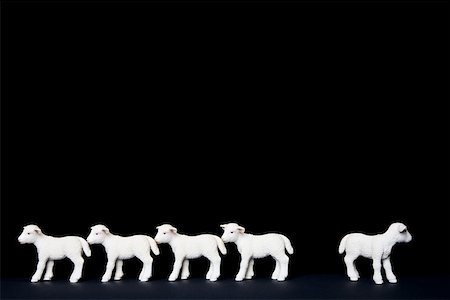 five animals - One lamb looking away from the rest Foto de stock - Sin royalties Premium, Código: 614-02244244