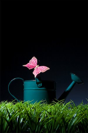 fake butterflies - Papillon rose sur un arrosoir Photographie de stock - Premium Libres de Droits, Code: 614-02244254