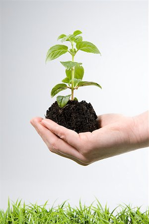 earth on white background - Person holding soil and a sapling Stock Photo - Premium Royalty-Free, Code: 614-02244250