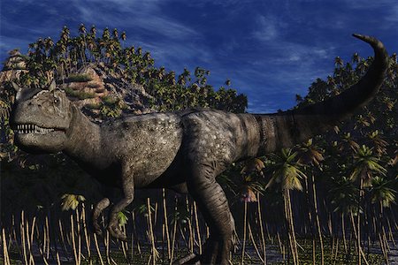 Allosaurus Stockbilder - Premium RF Lizenzfrei, Bildnummer: 614-02240294