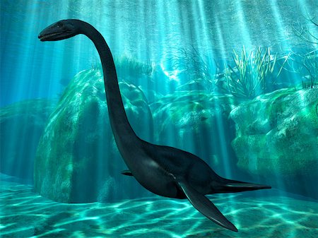 Elasmosaurus Stockbilder - Premium RF Lizenzfrei, Bildnummer: 614-02240299