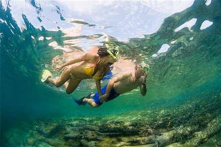 shoal (group of marine animals) - Couple snorkelling Stock Photo - Premium Royalty-Free, Code: 614-02241103