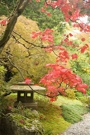 path fall tree - Japanese garden Stock Photo - Premium Royalty-Free, Code: 614-02241196