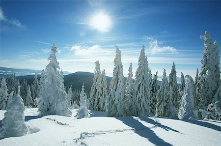 snow covered lights - Beautiful winter scene Stock Photo - Premium Royalty-Free, Code: 614-02241523