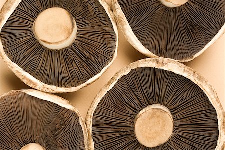 Mushrooms Stock Photo - Premium Royalty-Free, Code: 614-02241668