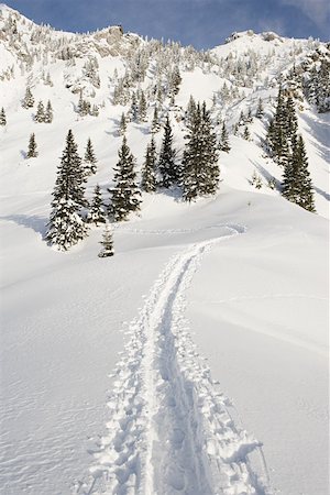 Tracks in snow Foto de stock - Sin royalties Premium, Código: 614-02243928