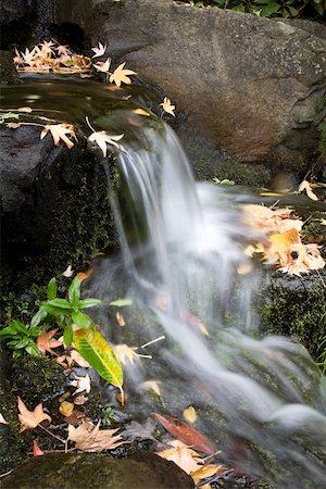 Autumn leaves and a waterfall Stock Photo - Premium Royalty-Free, Code: 614-02344017