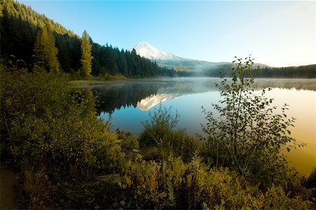 Mounthood and trillium lake Fotografie stock - Premium Royalty-Free, Codice: 614-02344050