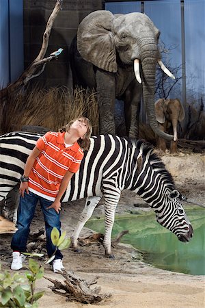 elephant standing on person - Boy standing by animals in a museum Stock Photo - Premium Royalty-Free, Code: 614-02344365