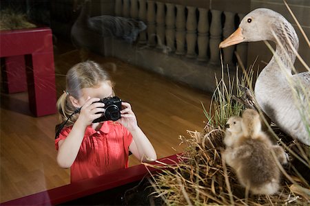 spiegelreflexkamera - Fille de photographier dans un musée Photographie de stock - Premium Libres de Droits, Code: 614-02344387